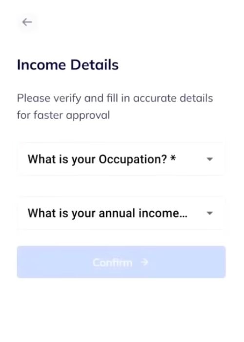 Provide Occupation and Income details